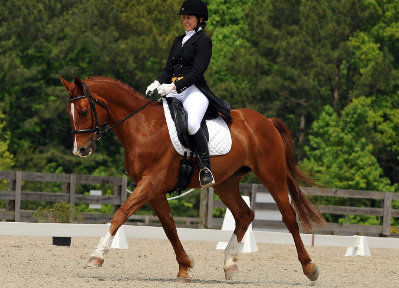 guest-blog-73-Reiner-Klimke-couldnt-sit-that-trot-by-the-bad-eventer