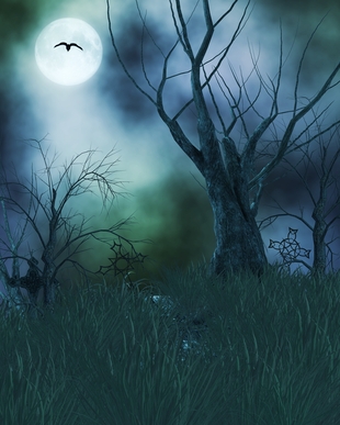 Spooky Haunted Background