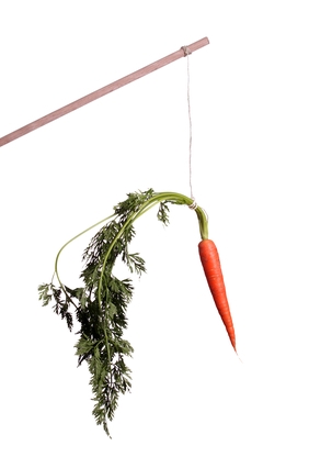 motivation with carrot on stick