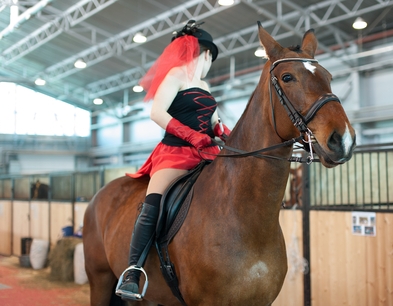 jockey riding horse at competition