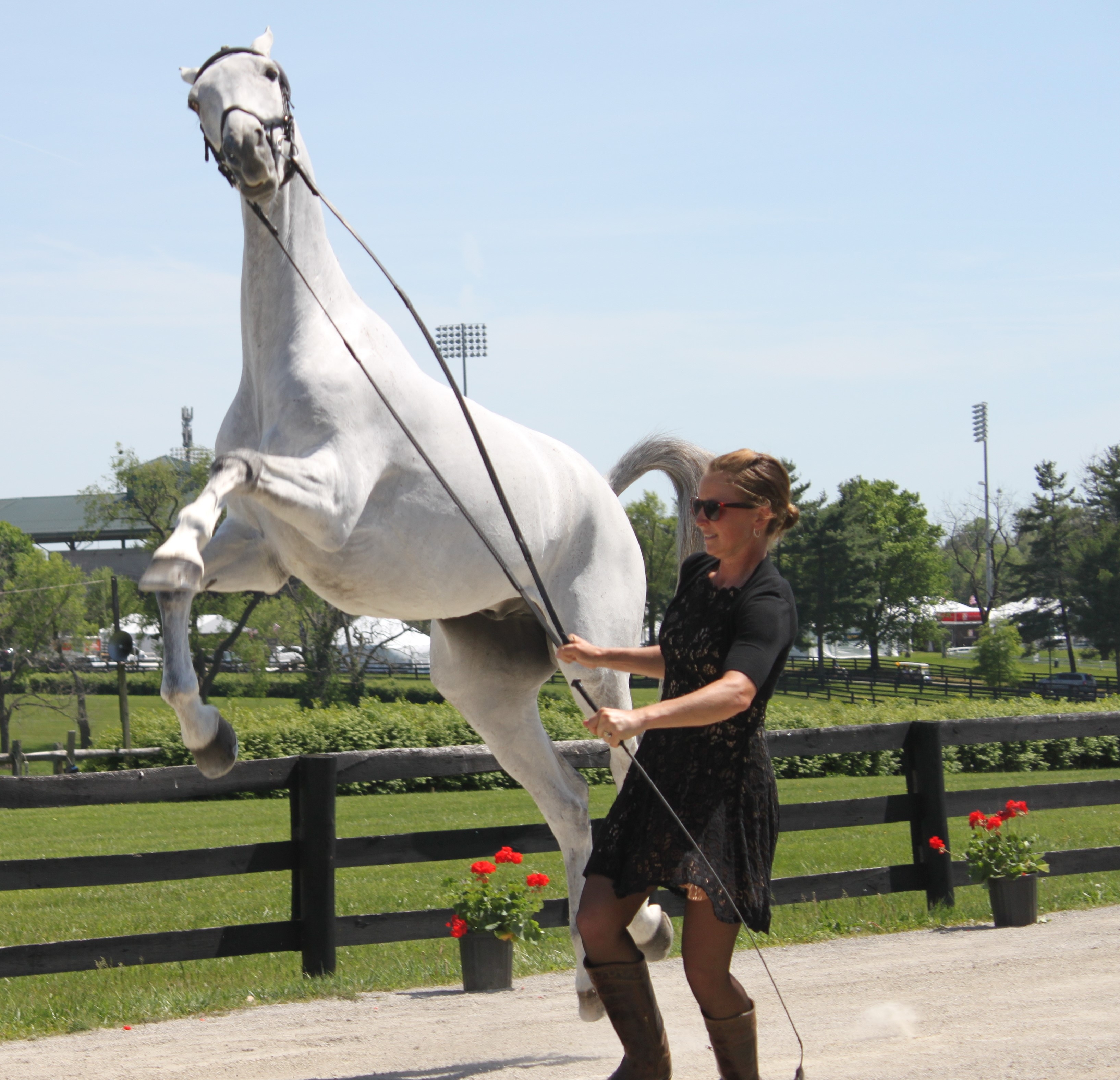 BE Bentleys Best Rolex jog rear