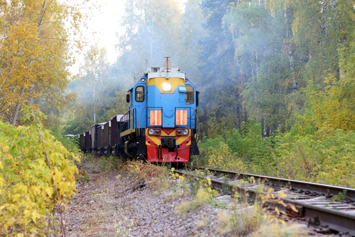 locomotive in the autumnal forest
