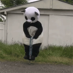 Panda pogo stick