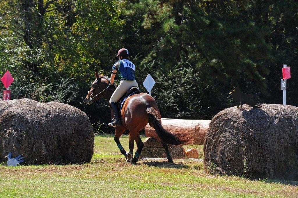 Bess Trakehner Holly Hill