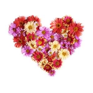 heart of flowers